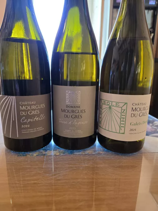 vins