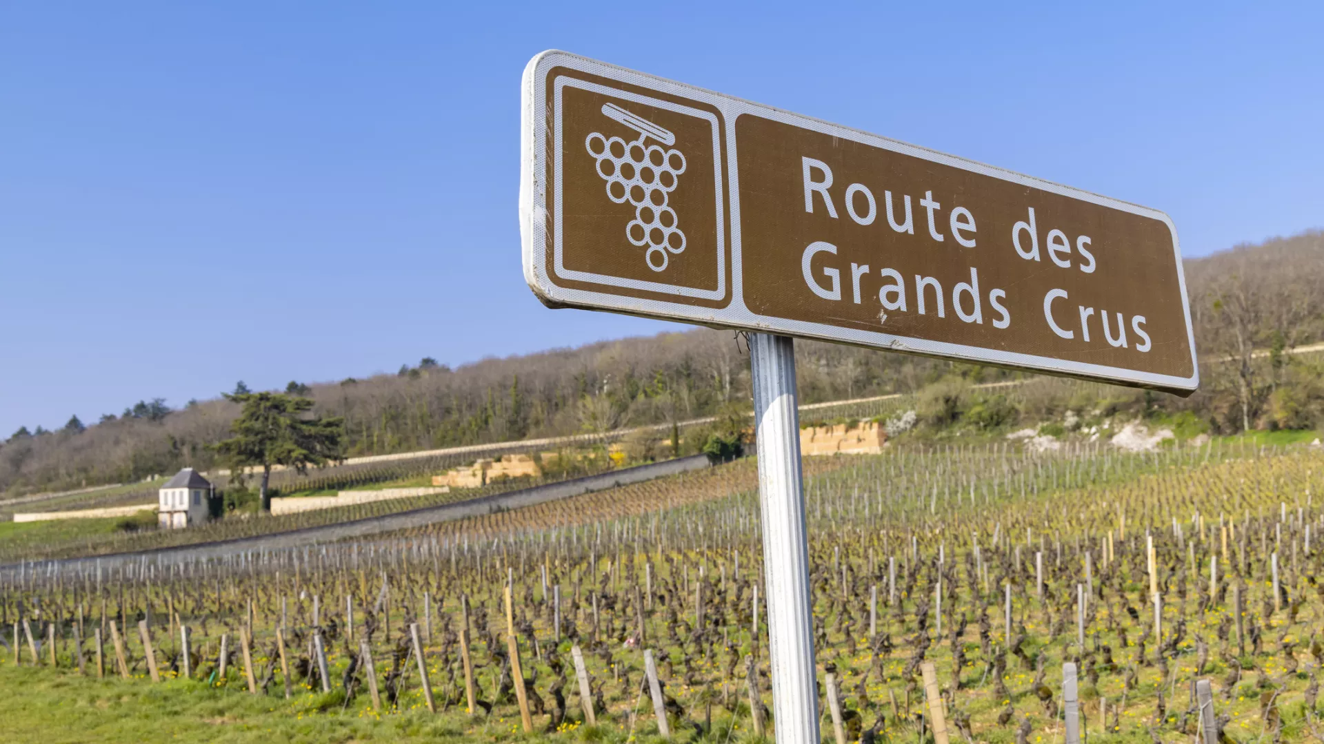 Vignoble Bourgogne