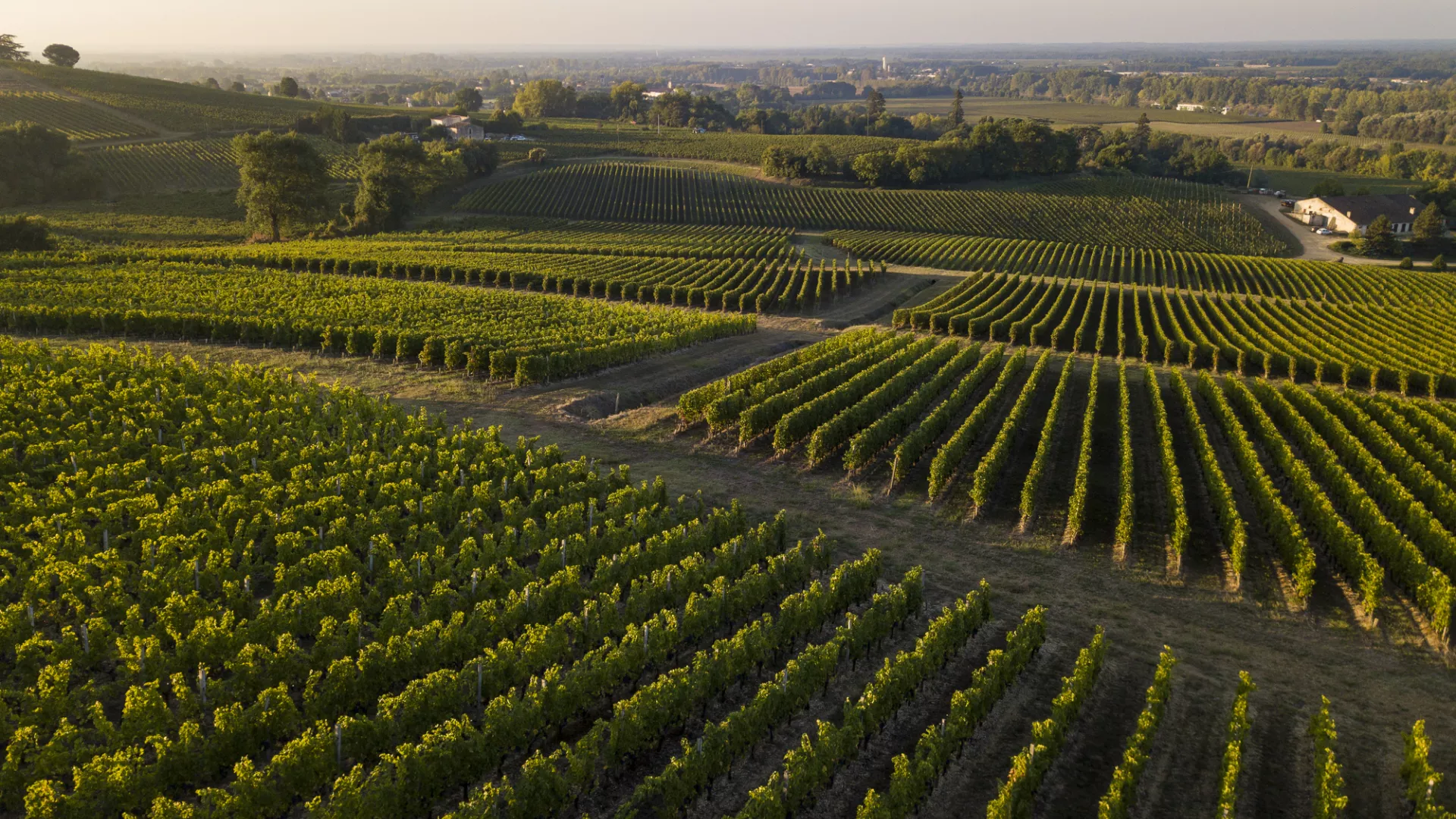 Vignoble Bordeaux