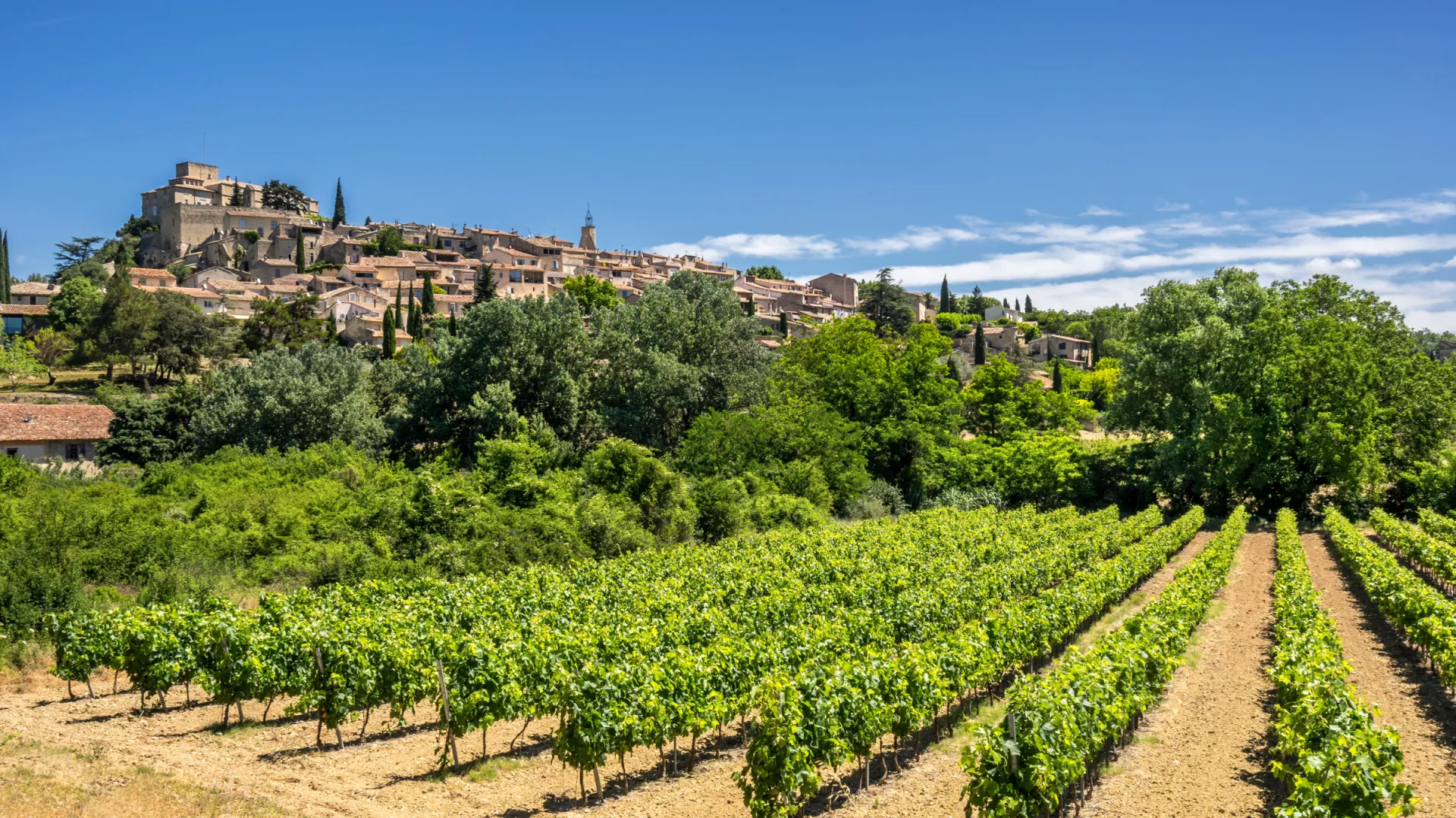 Vignoble Provence