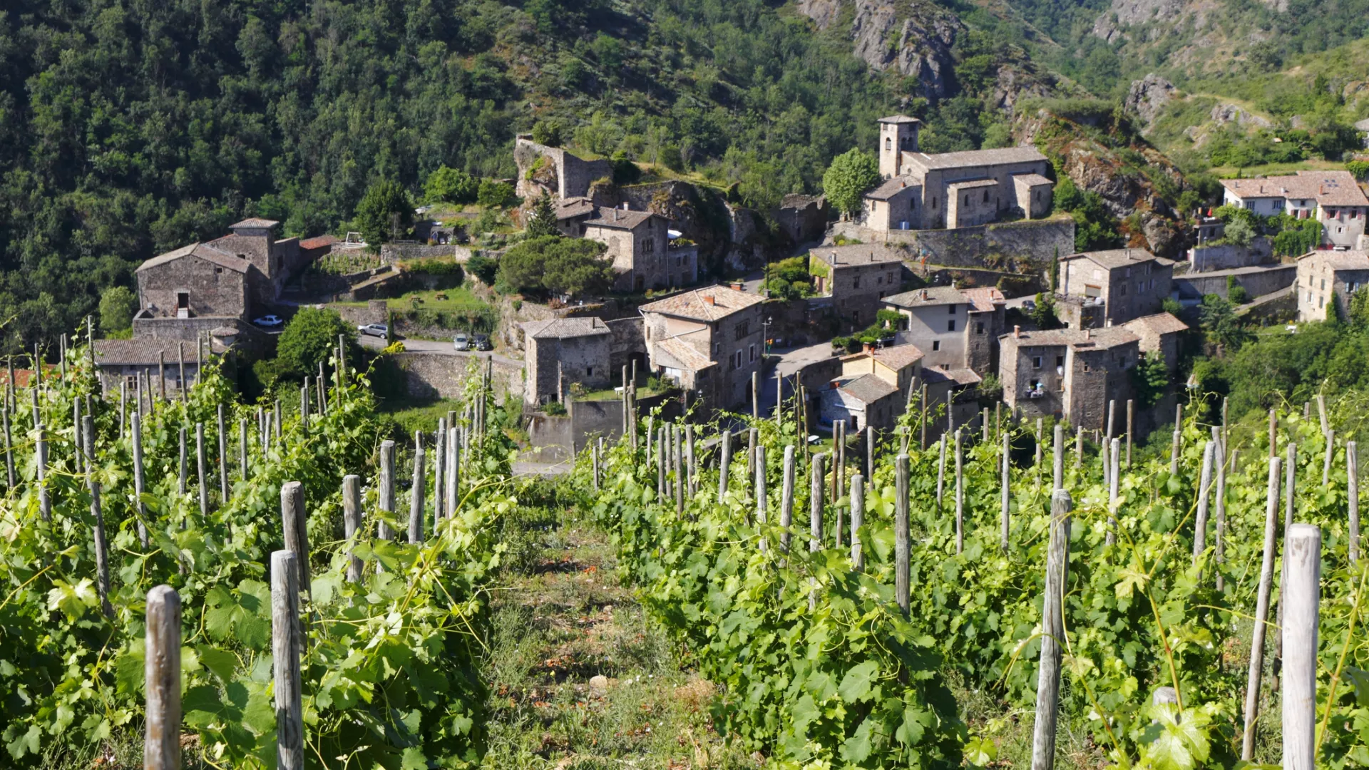 Vignoble Vallée du Rhône