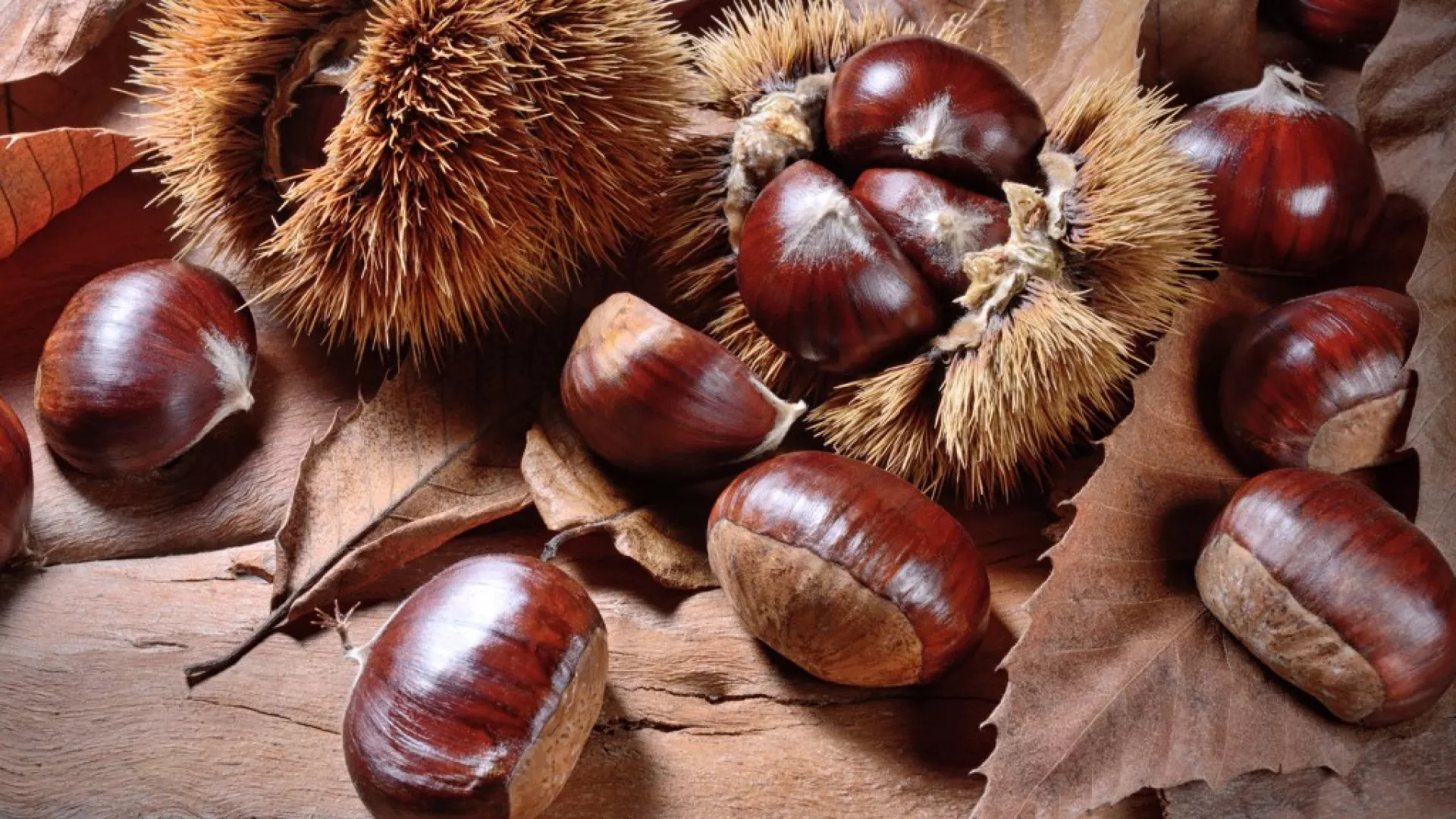 marrons