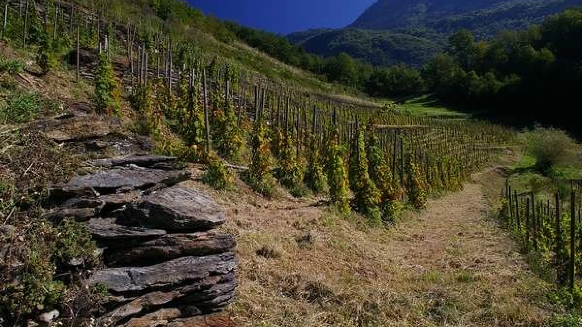 ardoisieres