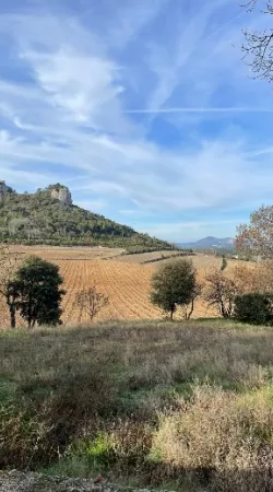 Visite du Château de Roquefort