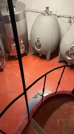 Visite du Domaine Clos Sainte Magdeleine