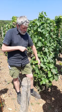 J-L Trapet dans ses vignes