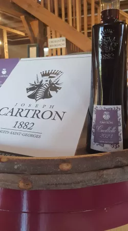 cueillette 2023 cartron