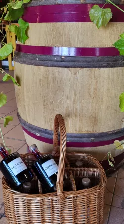 aventure framboise