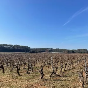 Visite au Clos de l'Ours