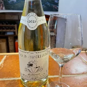 Dégustation Domaine du Clos Sainte Magdeleine