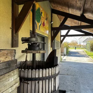 vscj