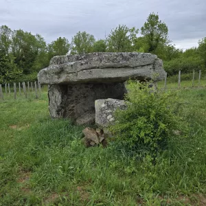 belargus