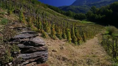 ardoisieres