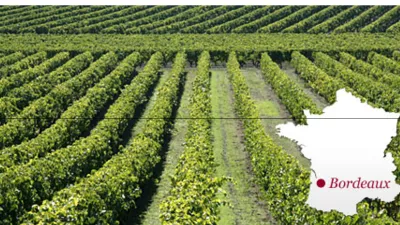 En mars, on n’est pas chau-vins !