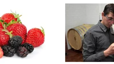 Champagne et fraise le samedi 9 juin
