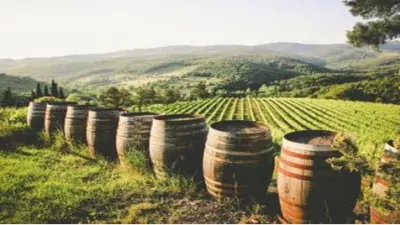 la Bourgogne, avec 4 Vignerons différents