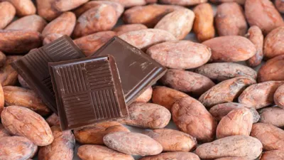 En Avril, vous êtes invités à déguster nos Maury pour accompagner vos chocolats de Pâques !