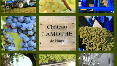 Enfin des bonnes nouvelles....
