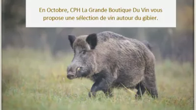 Dégustation d'octobre
