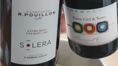 F.Bedel et R.Pouillon