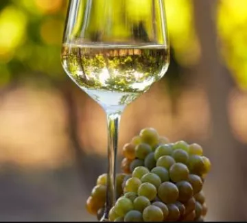 En Avril, découvrir l’Alsace au fil de la saison