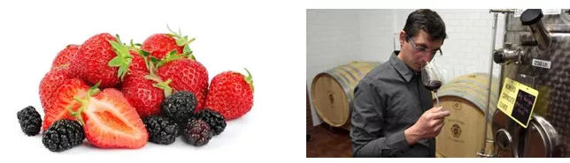 Champagne et fraise le samedi 9 juin