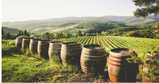 la Bourgogne, avec 4 Vignerons différents