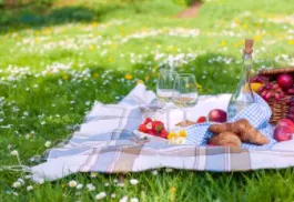 Remise exceptionnelle sur des vins rosés