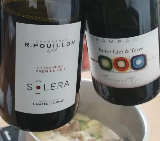 F.Bedel et R.Pouillon